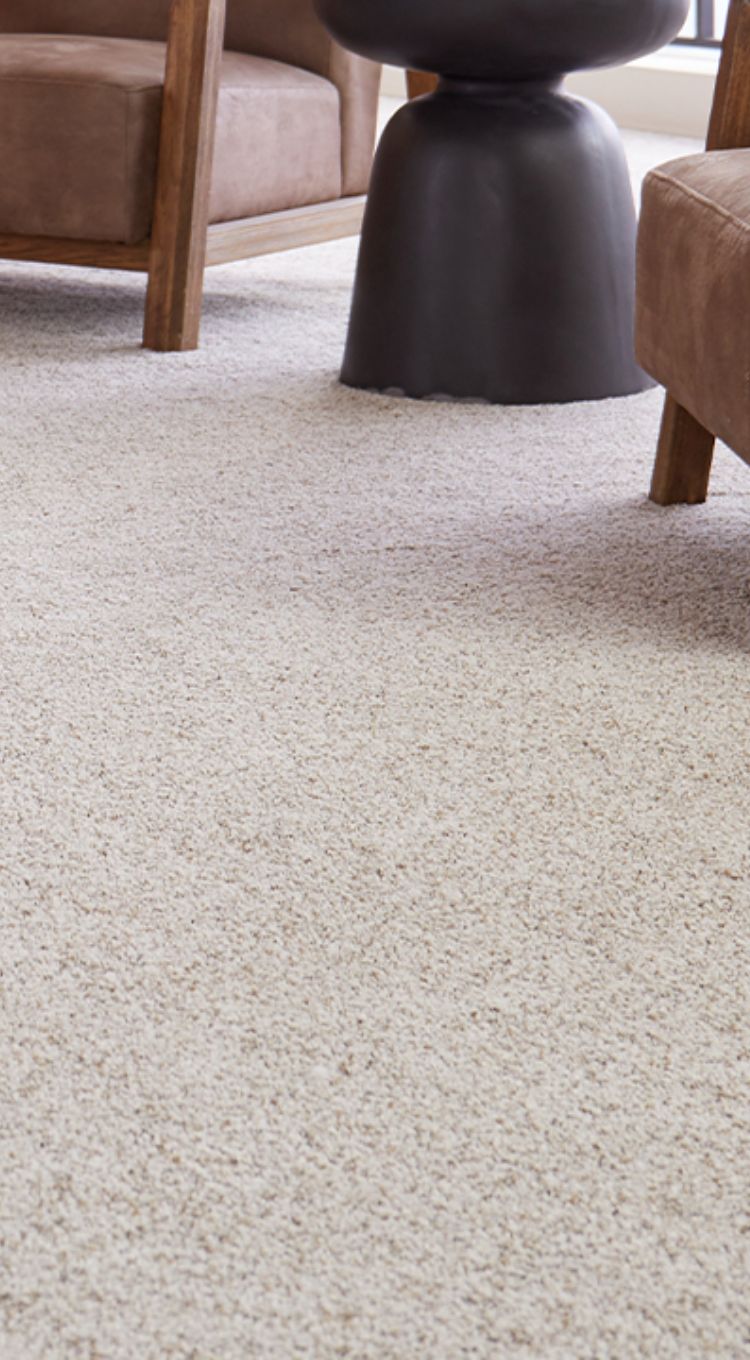 beige carpet in living room with 2 chairs